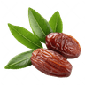 Dates icon