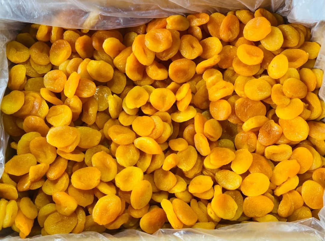 Turkel Dried Apricot