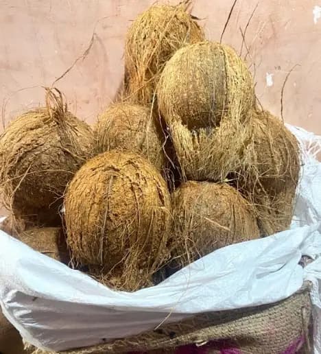 Coconut 100 Dana (3650 PER BAG)