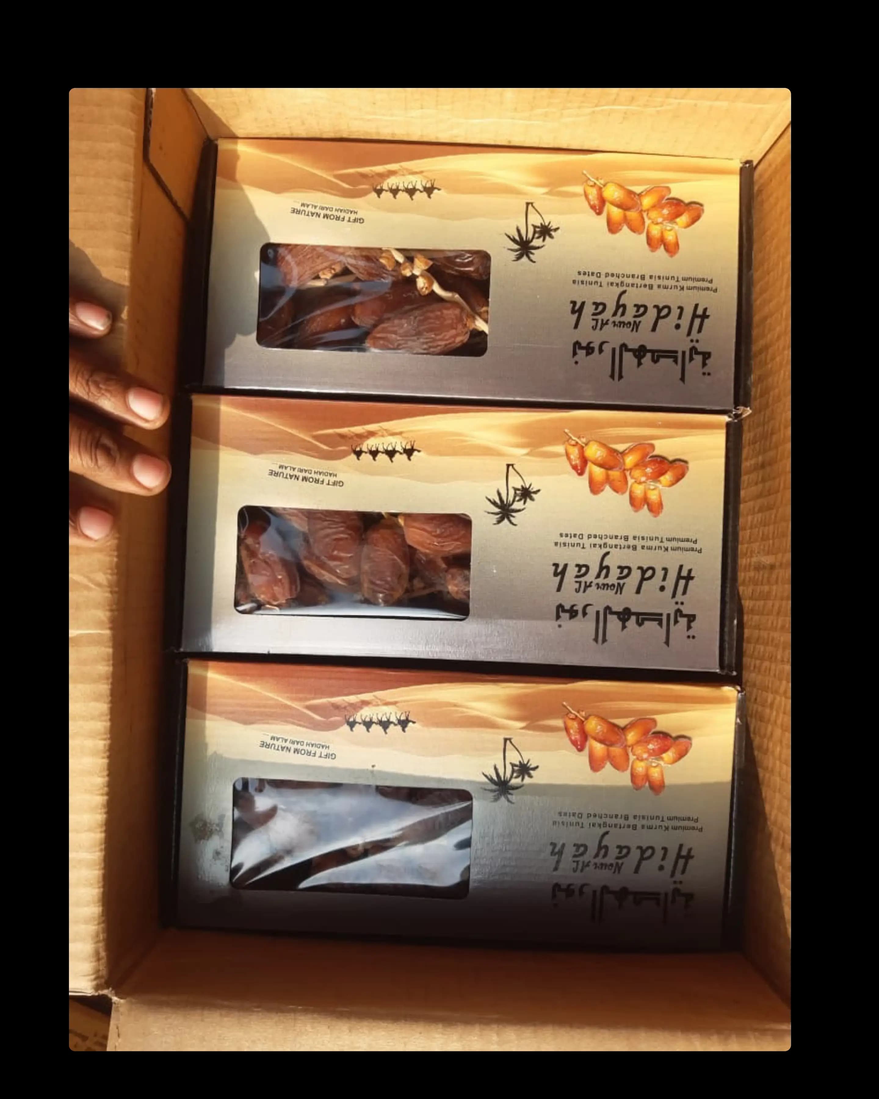 Premium Tunisia Branched Dates