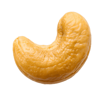 Cashew Nuts